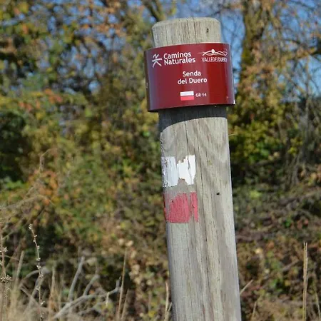 Casa Alfredo * Villamarciel