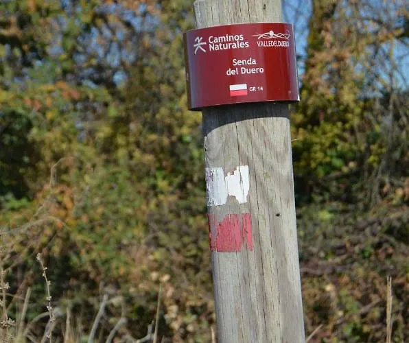 Casa Alfredo * Villamarciel